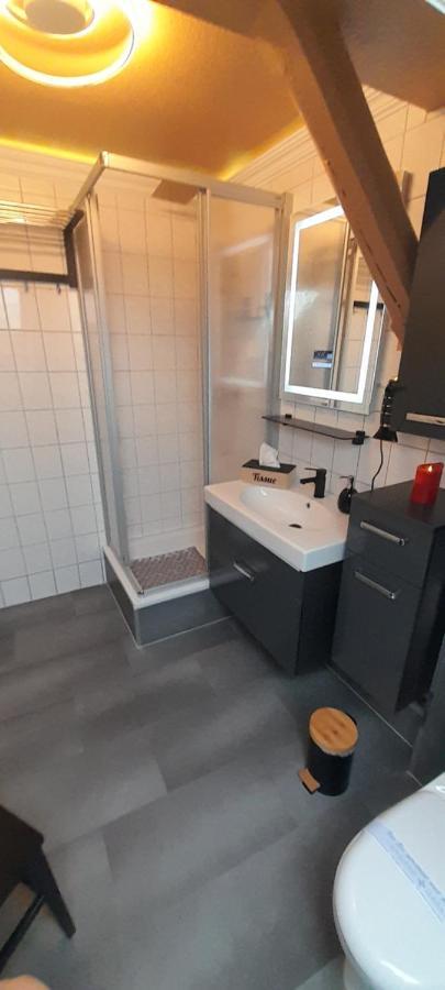 Best-Preis -Vip Lounge- Mit Netflix, Self-Check-In, Ebike Ladestation, Fahrradraum, Wlan Und Netflix - Direkt Am Elberadweg Im Herzen Von ויטנברג מראה חיצוני תמונה